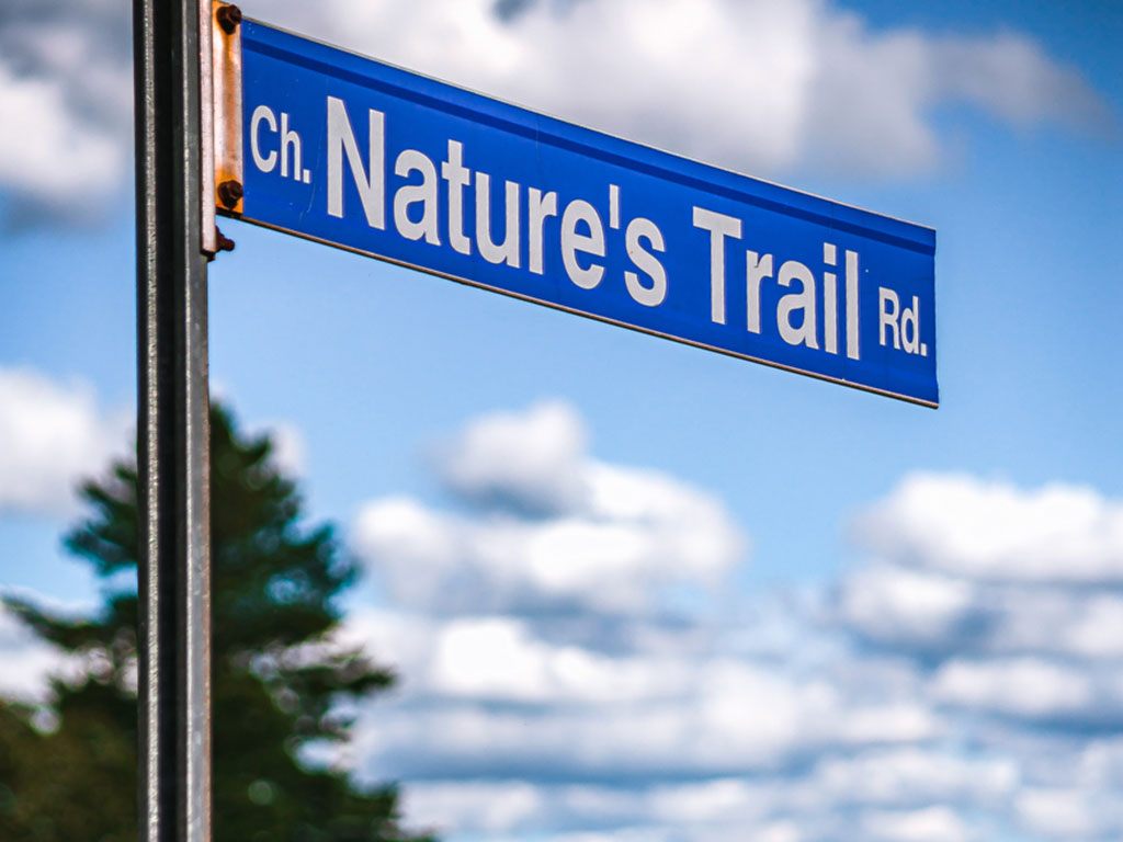 Nature and fine-art prints